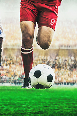 Imagem Tour2