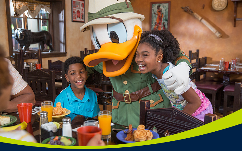 Walt Disney World Resort 