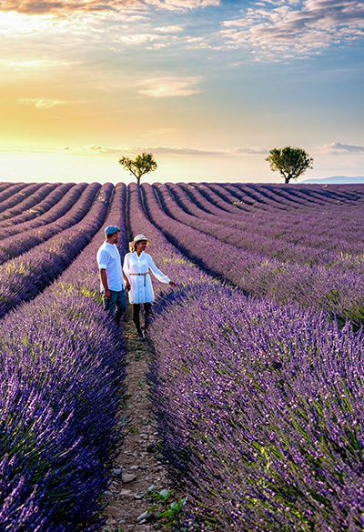 Côte d'Azur e Provence