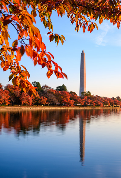 Washington, Boston e New York