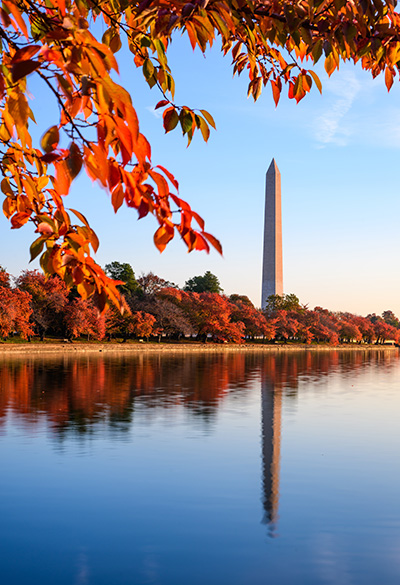Washington, Boston e New York