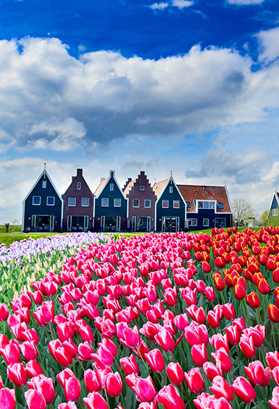 Bélgica e Holanda