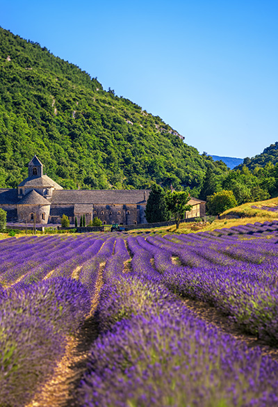 Paris & Provence