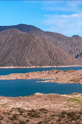 Mendoza Essencial