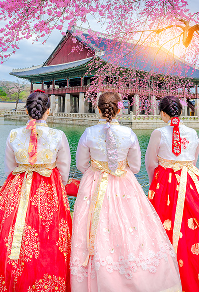 Temporada das Cerejeiras na Coreia do Sul