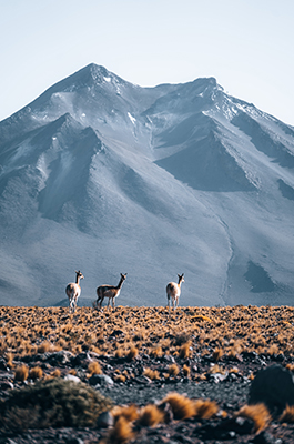 Chile: Luzes do Atacama