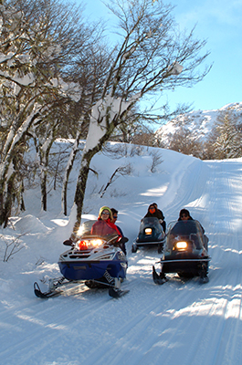 Neve